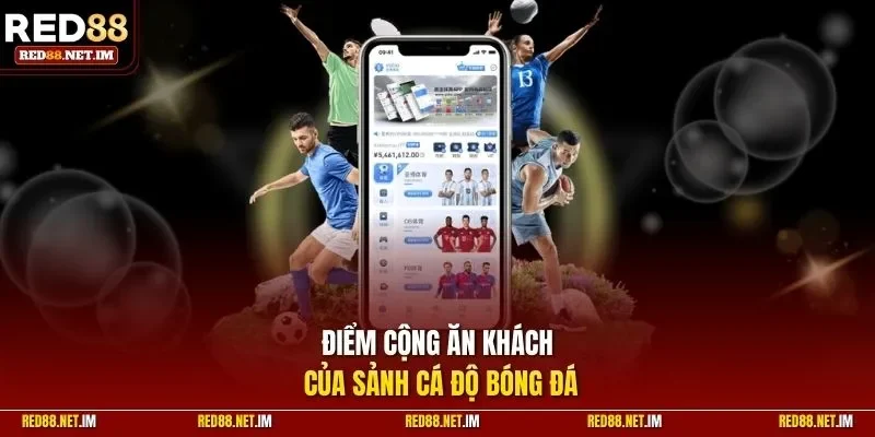 Điểm cộng của sảnh cá cược bóng đá