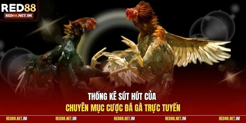 Thống kê sức hút của chuyên mục cược đá gà trực tuyến